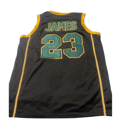 LeBron James High school